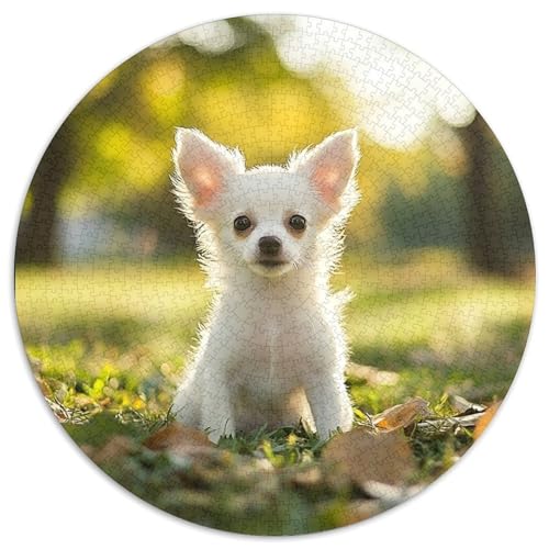 Chihuahua Puzzle 1000-teilige Schwer Puzzle Spielzeug Lernspiel Impossible Herausforderung Spielzeug Für Erwachsene Und Kinder in Bewährter 1000pcs (67.5x67.5cm) von DHBANEIOK