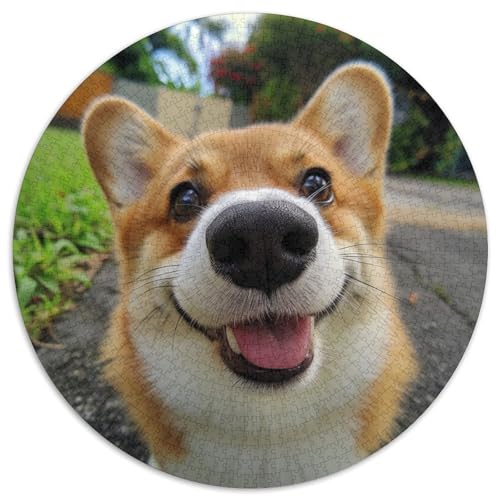 Corgi Puzzle 1000 Teile Schwer Puzzle Spielzeug Lernspiel Impossible Herausforderungsspielzeug Für Erwachsene Und Kinder Ab 14 Jahren 1000pcs (67.5x67.5cm) von DHBANEIOK