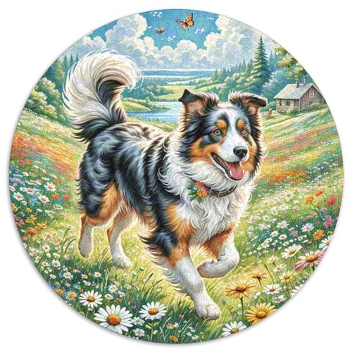 Der Border Collie Puzzles 1000 Teile Schwer Puzzle Spielzeug Lernspiel Impossible Herausforderungsspielzeug Für Erwachsene Und Kinder Ab 14 Jahren 1000pcs (67.5x67.5cm) von DHBANEIOK