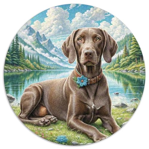 Deutscher kurzhaariger Zeiger Puzzle 1000 Teile Schwer Puzzle Spielzeug Pädagogisches Spiel Impossible Herausforderungsspielzeug Für Erwachsene Und Kinder in Bewährter 1000pcs (67.5x67.5cm) von DHBANEIOK