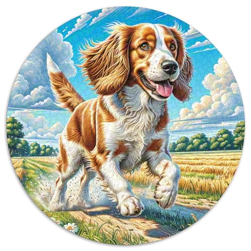 Englischer Springer Spaniel Puzzle 1000 Teile Schwer Puzzle Spielzeug Lernspiel Impossible Herausforderung Spielzeug Für Erwachsene Und Kinder Ab 14 Jahren 1000pcs (67.5x67.5cm) von DHBANEIOK