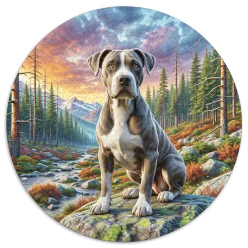 Englischer Springer Spaniel Puzzle 1000 Teile Schwer Puzzle Spielzeug Pädagogisches Spiel Impossible Herausforderungsspielzeug Für Erwachsene Und Kinder Ab 12 Jahren 1000pcs (67.5x67.5cm) von DHBANEIOK