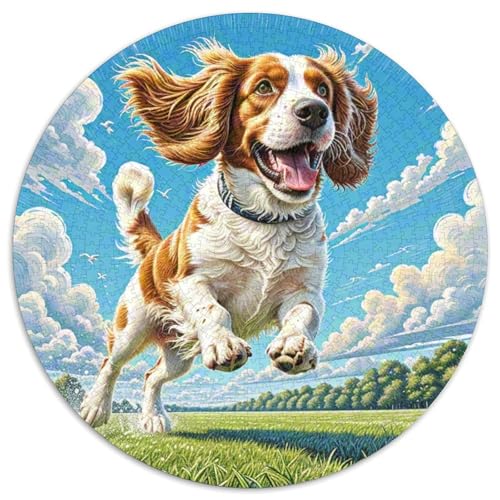Englischer Springer Spaniel Puzzles 1000 Teile Schwer Puzzle Spielzeug Lernspiel Impossible Herausforderung Spielzeug Für Erwachsene Und Kinder Ab 12 Jahren 1000pcs (67.5x67.5cm) von DHBANEIOK