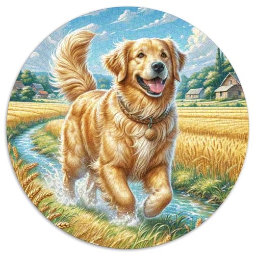 Goldener Retriever Puzzles 1000 Teile Schwer Puzzle Spielzeug Lernspiel Impossible Herausforderung Spielzeug Für Erwachsene Und Kinder Ab 12 Jahren 1000pcs (67.5x67.5cm) von DHBANEIOK