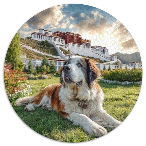 Haustierhund Puzzle 1000 Teile Schwer Puzzle Spielzeug Lernspiel Impossible Herausforderung Spielzeug Für Erwachsene Kinder 1000pcs (67.5x67.5cm) von DHBANEIOK