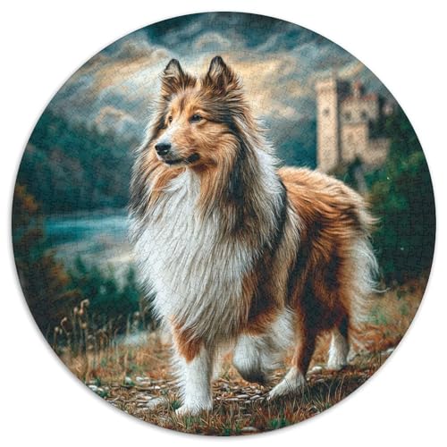 Haustierhund Puzzle 1000-teilige Schwer Puzzle Spielzeug Lernspiel Impossible Herausforderung Spielzeug Für Erwachsene Kinder 1000pcs (67.5x67.5cm) von DHBANEIOK