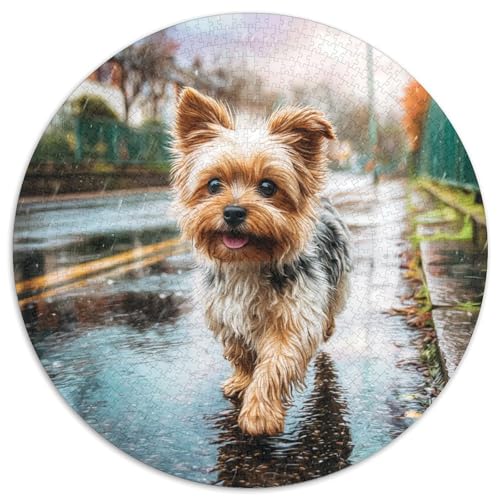 Haustierhund Puzzle 1000-teilige Schwer Puzzle Spielzeug Lernspiel Impossible Herausforderungsspielzeug Für Erwachsene Und Kinder Ab 12 Jahren 1000pcs (67.5x67.5cm) von DHBANEIOK
