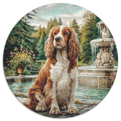 Haustierhund Puzzle 1000-teilige Schwer Puzzle Spielzeug Pädagogisches Spiel Impossible Herausforderungsspielzeug Für Erwachsene Kinder 1000pcs (67.5x67.5cm) von DHBANEIOK