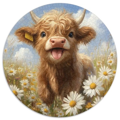 Highland Rinder Puzzle 1000 Teile Schwer Puzzle Spielzeug Lernspiel Impossible Herausforderungsspielzeug Für Erwachsene Und Kinder in Bewährter 1000pcs (67.5x67.5cm) von DHBANEIOK