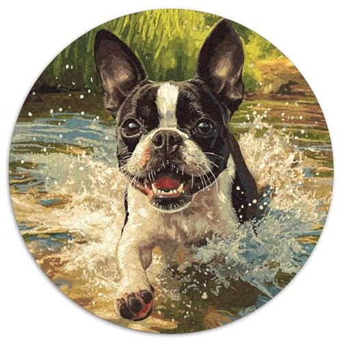 Hund Puzzle 1000 Teile Schwer Puzzle Spielzeug Lernspiel Impossible Herausforderung Spielzeug Für Erwachsene Und Kinder in Bewährter 1000pcs (67.5x67.5cm) von DHBANEIOK