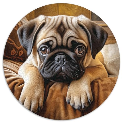 Hund Puzzles 1000-teilige Schwer Puzzle Spielzeug Lernspiel Impossible Herausforderungsspielzeug Für Erwachsene Kinder 1000pcs (67.5x67.5cm) von DHBANEIOK