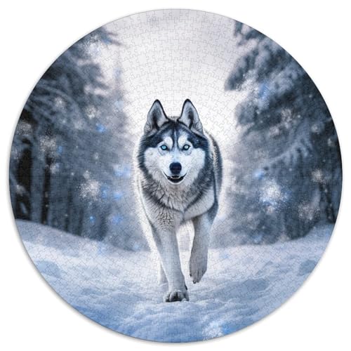Husky Puzzle 1000 Teile Schwer Puzzle Spielzeug Lernspiel Impossible Herausforderungsspielzeug Für Erwachsene Und Kinder Ab 14 Jahren 1000pcs (67.5x67.5cm) von DHBANEIOK