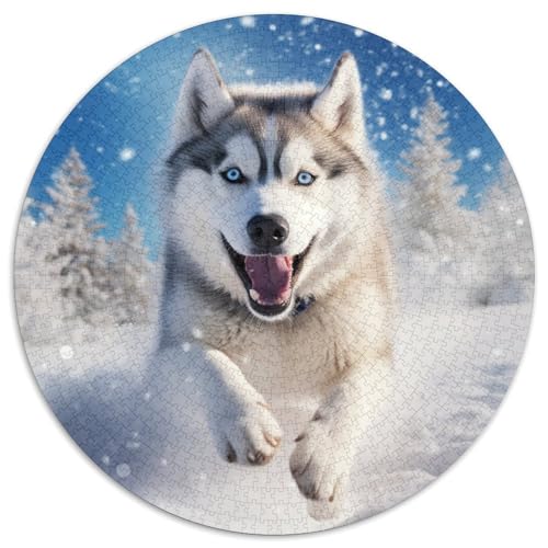Husky Puzzle 1000 Teile Schwer Puzzle Spielzeug Lernspiel Impossible Herausforderungsspielzeug Für Erwachsene Und Kinder Ab 14 Jahren 1000pcs (67.5x67.5cm) von DHBANEIOK