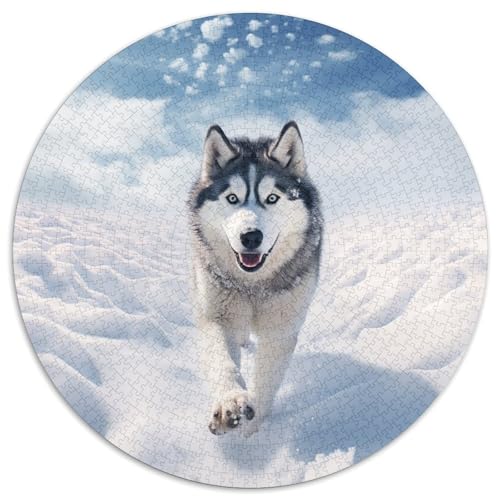 Husky Puzzles 1000 Teile Schwer Puzzle Spielzeug Lernspiel Impossible Herausforderungsspielzeug Für Erwachsene Und Kinder Ab 14 Jahren 1000pcs (67.5x67.5cm) von DHBANEIOK