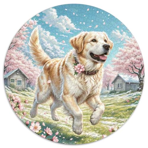 Labrador Retriever Puzzles 1000 Teile Schwer Puzzle Spielzeug Pädagogisches Spiel Impossible Herausforderung Spielzeug Für Erwachsene Und Kinder Ab 12 Jahren 1000pcs (67.5x67.5cm) von DHBANEIOK