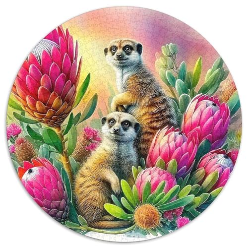 Meerkat Puzzles 1000 Teile Schwer Puzzle Spielzeug Lernspiel Impossible Herausforderungsspielzeug Für Erwachsene Kinder 1000pcs (67.5x67.5cm) von DHBANEIOK