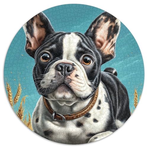 Niedlicher Haustierhund Puzzle 1000 Teile Schwer Puzzle Spielzeug Pädagogisches Spiel Impossible Herausforderungsspielzeug Für Erwachsene Und Kinder Ab 12 Jahren 1000pcs (67.5x67.5cm) von DHBANEIOK