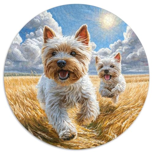 Niedlicher Haustierhund Puzzle 1000 Teile Schwer Puzzle Spielzeug Pädagogisches Spiel Impossible Herausforderungsspielzeug Für Erwachsene Und Kinder Ab 14 Jahren 1000pcs (67.5x67.5cm) von DHBANEIOK