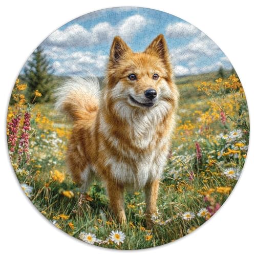 Niedlicher Haustierhund Puzzles 1000 Teile Schwer Puzzle Spielzeug Lernspiel Impossible Herausforderung Spielzeug Für Erwachsene Und Kinder Ab 14 Jahren 1000pcs (67.5x67.5cm) von DHBANEIOK