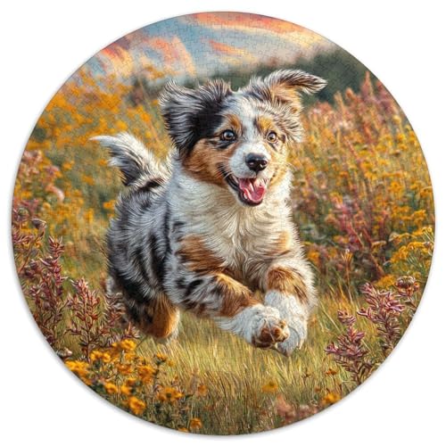 Niedlicher Hund Puzzle 1000-teilige Schwer Puzzle Spielzeug Lernspiel Impossible Herausforderungsspielzeug Für Erwachsene Und Kinder in Bewährter 1000pcs (67.5x67.5cm) von DHBANEIOK