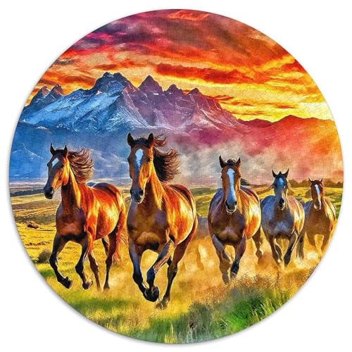 Pferd Puzzle 1000-teilige Schwer Puzzle Spielzeug Lernspiel Impossible Herausforderungsspielzeug Für Erwachsene Kinder 1000pcs (67.5x67.5cm) von DHBANEIOK