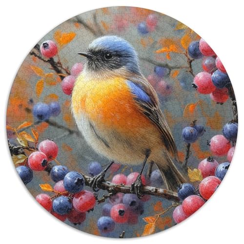 Robin Vogel Puzzles 1000-teilige Schwer Puzzle Spielzeug Lernspiel Impossible Herausforderungsspielzeug Für Erwachsene Und Kinder in Bewährter 1000pcs (67.5x67.5cm) von DHBANEIOK