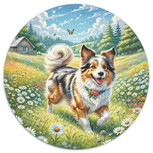 Shetlandsherhund Puzzle 1000-teilige Schwer Puzzle Spielzeug Pädagogisches Spiel Impossible Herausforderungsspielzeug Für Erwachsene Und Kinder Ab 14 Jahren 1000pcs (67.5x67.5cm) von DHBANEIOK
