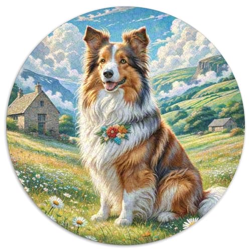Shetlandsherhund Puzzles 1000 Teile Schwer Puzzle Spielzeug Pädagogisches Spiel Impossible Herausforderung Spielzeug Für Erwachsene Und Kinder in Bewährter 1000pcs (67.5x67.5cm) von DHBANEIOK