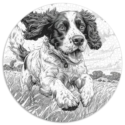 Springer Spaniel Puzzle 1000 Teile Schwer Puzzle Spielzeug Lernspiel Impossible Herausforderungsspielzeug Für Erwachsene Und Kinder Ab 12 Jahren 1000pcs (67.5x67.5cm) von DHBANEIOK