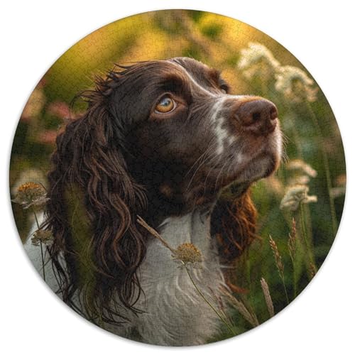 Springer Spaniel Puzzle 1000-teilige Schwer Puzzle Spielzeug Pädagogisches Spiel Impossible Herausforderung Spielzeug Für Erwachsene Und Kinder in Bewährter 1000pcs (67.5x67.5cm) von DHBANEIOK