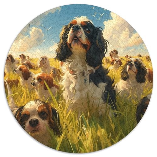 Springer Spaniel Puzzle 1000-teilige Schwer Puzzle Spielzeug Pädagogisches Spiel Impossible Herausforderungsspielzeug Für Erwachsene Und Kinder Ab 12 Jahren 1000pcs (67.5x67.5cm) von DHBANEIOK
