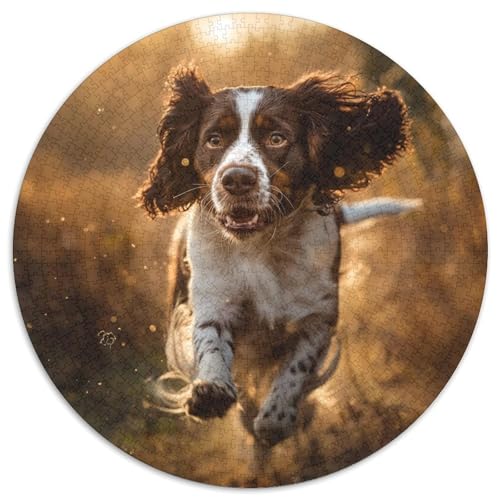 Springer Spaniel Puzzles 1000 Teile Schwer Puzzle Spielzeug Lernspiel Impossible Herausforderung Spielzeug Für Erwachsene Und Kinder Ab 12 Jahren 1000pcs (67.5x67.5cm) von DHBANEIOK
