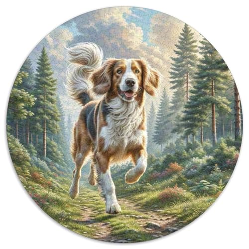 Welischer Springer Spaniel Puzzle 1000 Teile Schwer Puzzle Spielzeug Pädagogisches Spiel Impossible Herausforderung Spielzeug Für Erwachsene Kinder 1000pcs (67.5x67.5cm) von DHBANEIOK