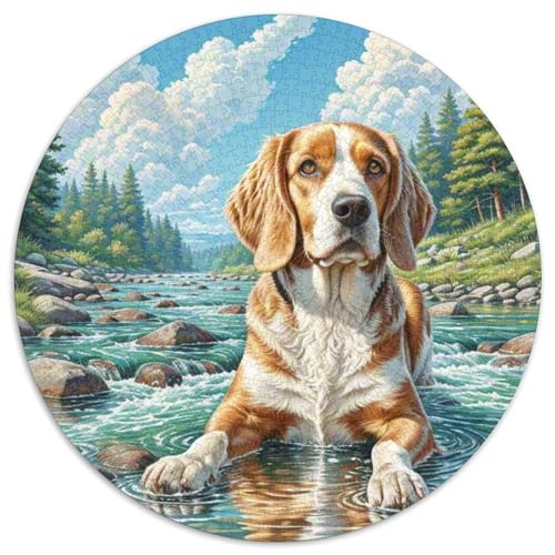 Welischer Springer Spaniel Puzzle 1000 Teile Schwer Puzzle Spielzeug Pädagogisches Spiel Impossible Herausforderung Spielzeug Für Erwachsene Und Kinder Ab 12 Jahren 1000pcs (67.5x67.5cm) von DHBANEIOK