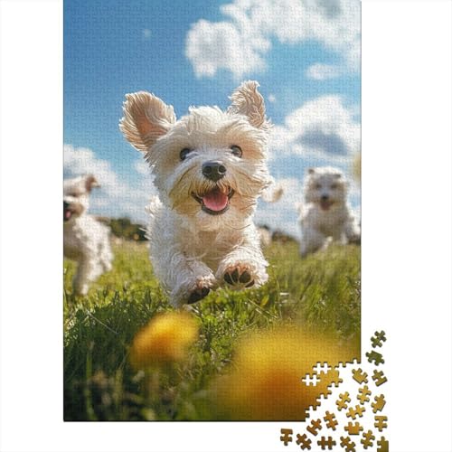 West Highland White Terrier 1000 Stück Puzzles Für Erwachsene Stress Abbauen Familien-Puzzlespiel Mit Poster in 1000- Puzzle Lernspiel Spielzeug Geschenk Puzzel 1000pcs (75x50cm) von DHBANEIOK