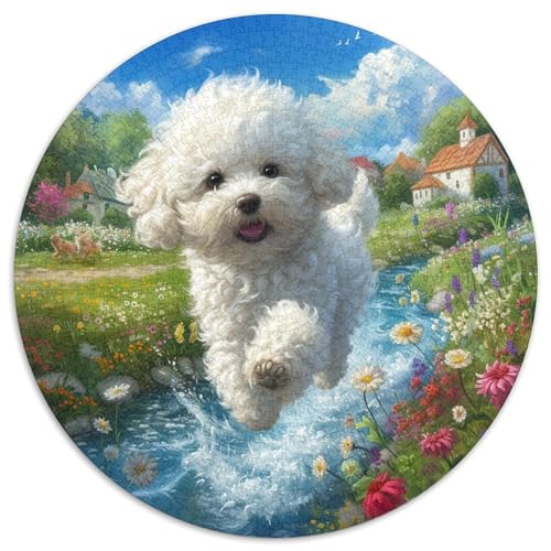 maltesisch Hund Puzzle 1000-teilige Schwer Puzzle Spielzeug Pädagogisches Spiel Impossible Herausforderungsspielzeug Für Erwachsene Und Kinder in Bewährter 1000pcs (67.5x67.5cm) von DHBANEIOK