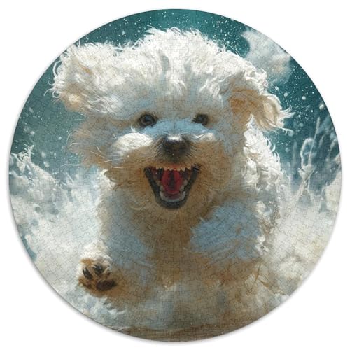 maltesisch Hund Puzzles 1000 Teile Schwer Puzzle Spielzeug Pädagogisches Spiel Impossible Herausforderung Spielzeug Für Erwachsene Kinder 1000pcs (67.5x67.5cm) von DHBANEIOK
