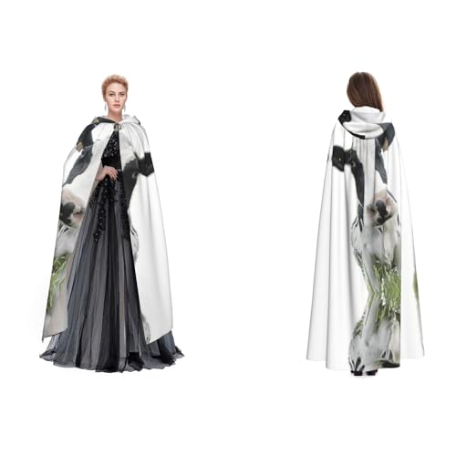 Dhnblqdp (Tier, lustiger Kuhkopf, schwarz-weiß), Halloween-Kapuzenumhang, Hexe, Cosplay-Zubehör, Erwachsenenkostüm von DHNBLQDP
