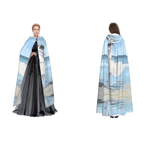 Dhnblqdp Halloween-Kapuzenumhang mit Hexe, Cosplay-Zubehör, Erwachsenenkostüm für Erwachsene von DHNBLQDP