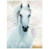 DIAMOND DOTZ DD10026 Diamond Painting Pferd weiss - Geübte von DIAMOND DOTZ®