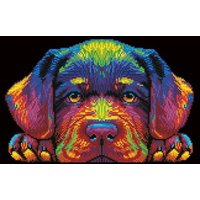 DIAMOND DOTZ DD25022 Diamond Painting Hundewelpen Neon Noir, Fortgeschrittene von DIAMOND DOTZ®
