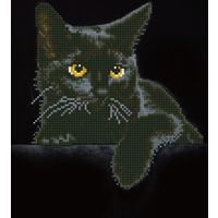 DIAMOND DOTZ DD5001 Diamond Painting Schwarze Katze Geübte von DIAMOND DOTZ®