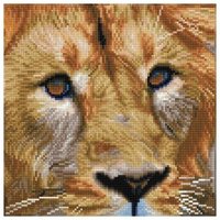 DIAMOND DOTZ DD5076 Diamond Painting Löwe Geübte von DIAMOND DOTZ®