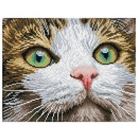 DIAMOND DOTZ DD6029 Diamond Painting Katze mit grünen Augen Geübte von DIAMOND DOTZ®