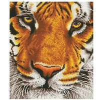 DIAMOND DOTZ DD8001 Diamond Painting Tiger Geübte von DIAMOND DOTZ®