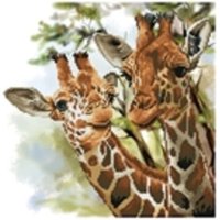 DIAMOND DOTZ DD8017 Diamond Painting Giraffen - Geübte von DIAMOND DOTZ®