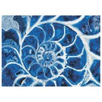 DIAMOND DOTZ DD9057 Diamond Painting Blaue Nautilus - Geübte von DIAMOND DOTZ®