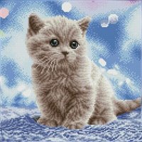 DIAMOND DOTZ DQ8020 Diamond Painting Katzenbaby - Geübte von DIAMOND DOTZ®