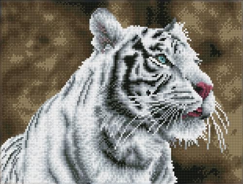 DIAMOND DOTZ DQ8.007 - Original 5D Diamond Painting Squares Set Weißer Tiger, Kreativset mit 17.595 quadratische Diamant Mosaiksteinen, Malset ca. 31 x 41 cm für Erwachsene und Kinder ab 8 Jahren von DIAMOND DOTZ