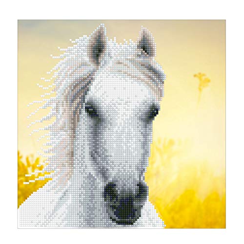 Diamond Dotz DD-50461 weißes Pferd, ca. 30,5 x 30,5 cm groß, Diamond Painting, Malen mit Diamanten, funkelndes Bild zum Selbstgestalten, für Kinder und Erwachsene von DIAMOND DOTZ